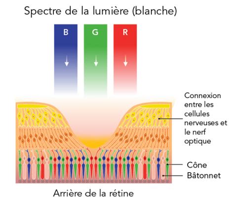l'eclipse la defense|Cônes : définition de Cônes et synonymes de Cônes (français).